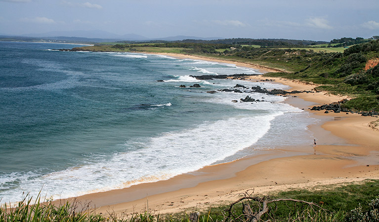 Walking along 1080 beach. Photo: Dina Bullivant