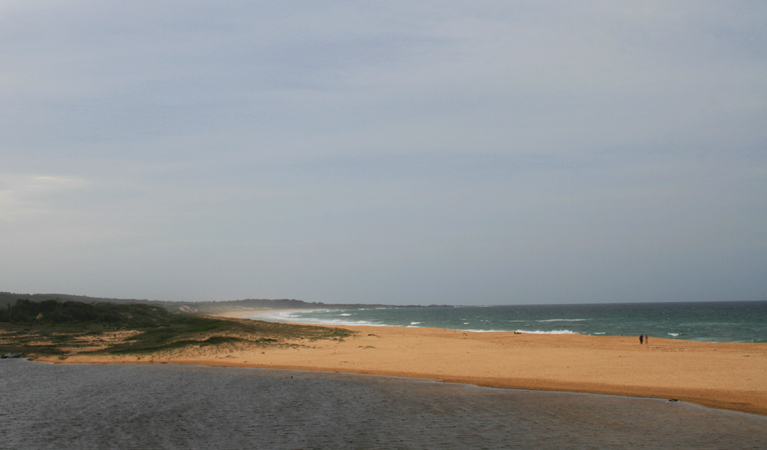 Bingi Dreaming walking track, Eurobodalla National Park. Photo: Christina Bullivant