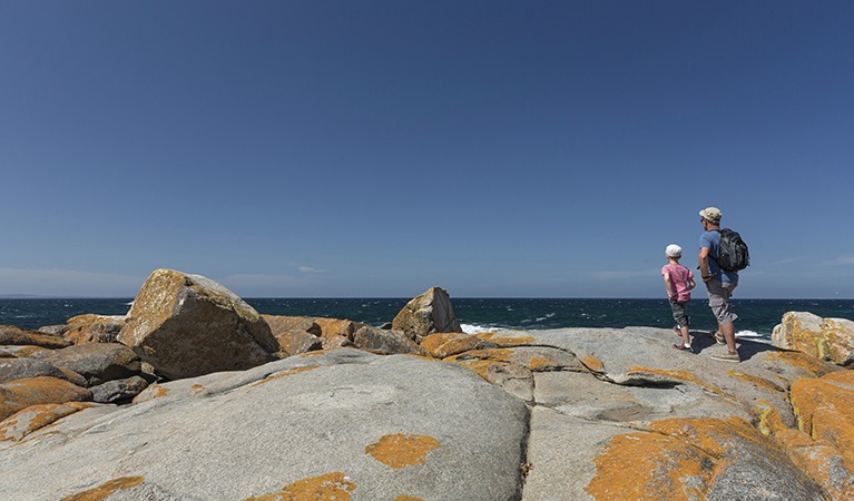 Family whale watching on rocks at Bingi Bingi Point along Bingi Dreaming track, Eurobodalla National Park. Photo: David Finnegan &copy; DPIE