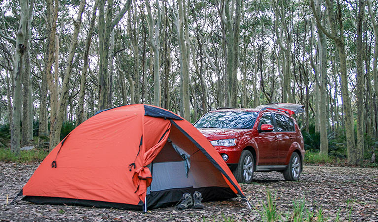 Camper van at Brou Lake campground. Photo: Dina Bullivant/NSW Government