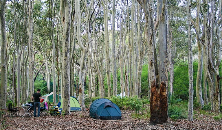 Hut in Brou Lake campground, Eurobodalla National Park. Photo: Dina Bullivant/NSW Government