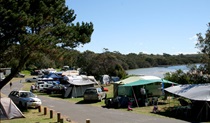 Campers at Congo campground in Eurobodalla National Park. Photo: &copy; Christina Bullivant