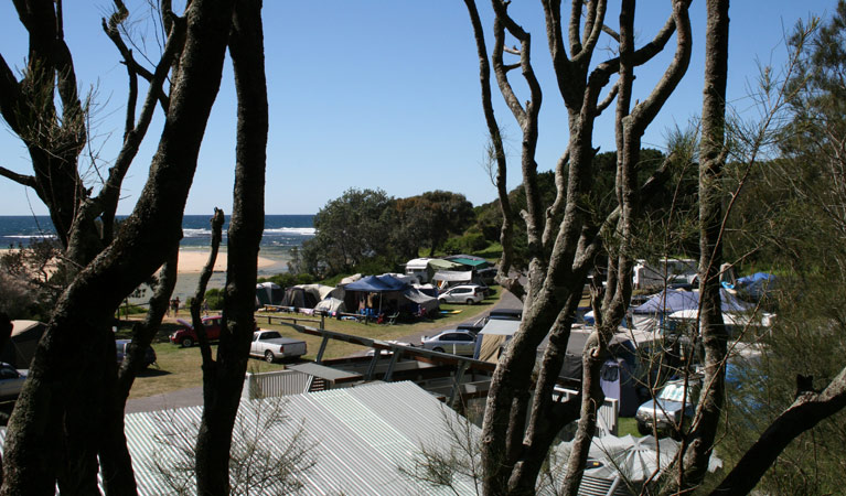 Campers at Congo campground in Eurobodalla National Park. Photo: Christina Bullivant/DPIE