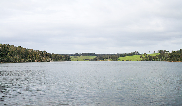 Corunna picnic area, Eurobodalla National Park. Photo: Dina Bullivant