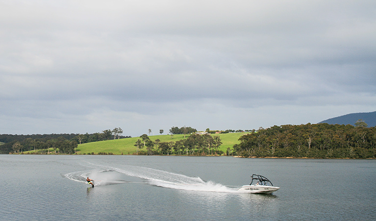 Corunna picnic area, Eurobodalla National Park. Photo: Dina Bullivant