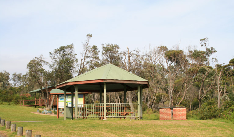 Mystery Bay lookout, Eurobodalla National Park. Photo: Christina Bullivant