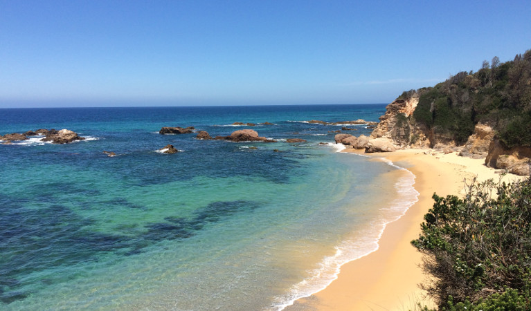 Beach views from Mystery Bay lookout, near Narooma in Eurobodalla National Park. Photo: Elinor Sheargold &copy; DPIE