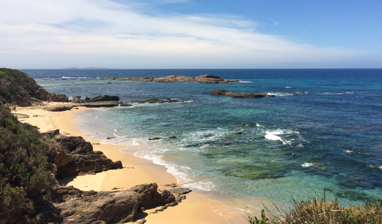 Beach views from Mystery Bay lookout across to Montague Island, near Narooma in Eurobodalla National Park. Photo: Elinor Sheargold/OEH