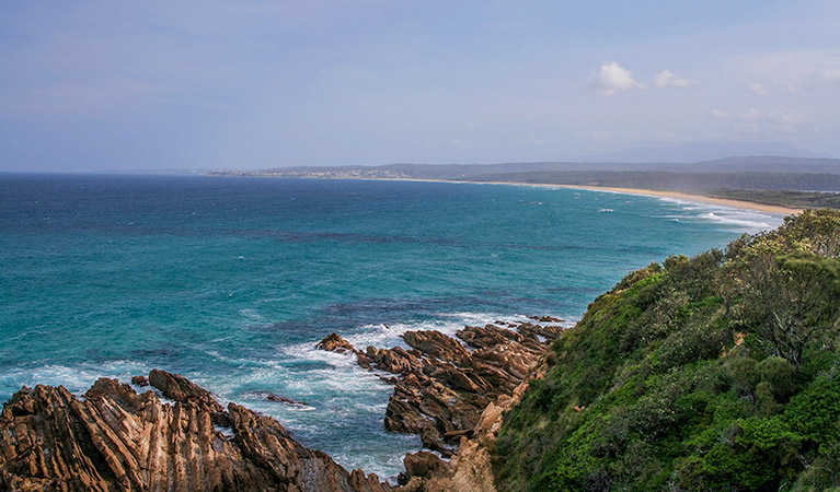 1080 Beach, Eurobodalla National Park. Photo: Christina Bullivant