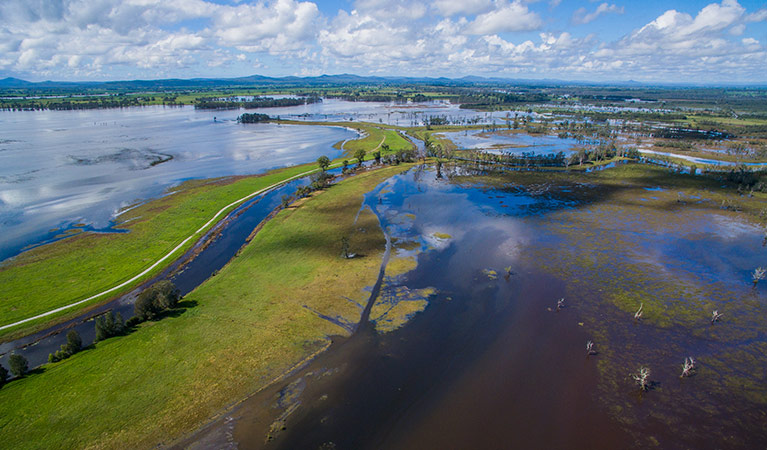 Everlasting Swamp National Park after flooding. Photo: J Robertson/OEH