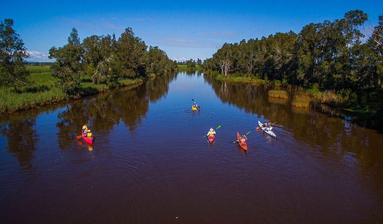 Group canoeing upstream on Sportsmans Creek. Photo: Jessica Robertson/OEH
