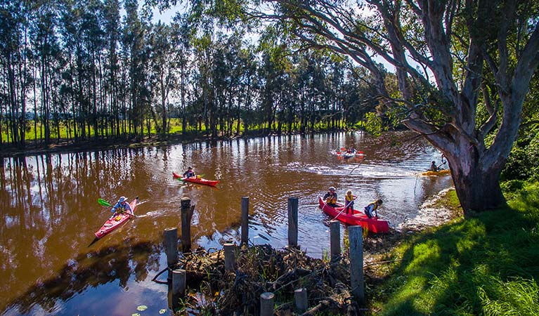 Launching canoes and kayaks from the bank of Woody Creek. Photo: Jessica Robertson/OEH