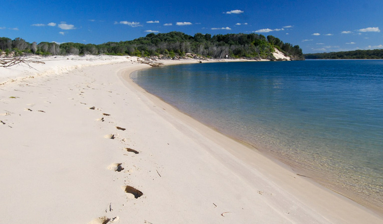 Gaagal Wanggaan (South Beach) National Park. Photo: A Ingarfield