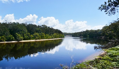 Warrell Creek, Gaagal Wanggaan (South Beach) National Park. Photo: A Ingarfield