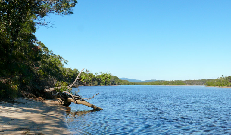 Warrell Creek, Gaagal Wanggaan (South Beach) National Park. Photo &copy; A Ingarfield