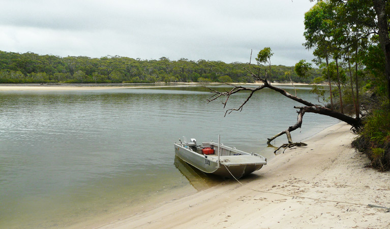 Warrell Creek, Gaagal Wanggaan (South Beach) National Park. Photo: A Ingarfield