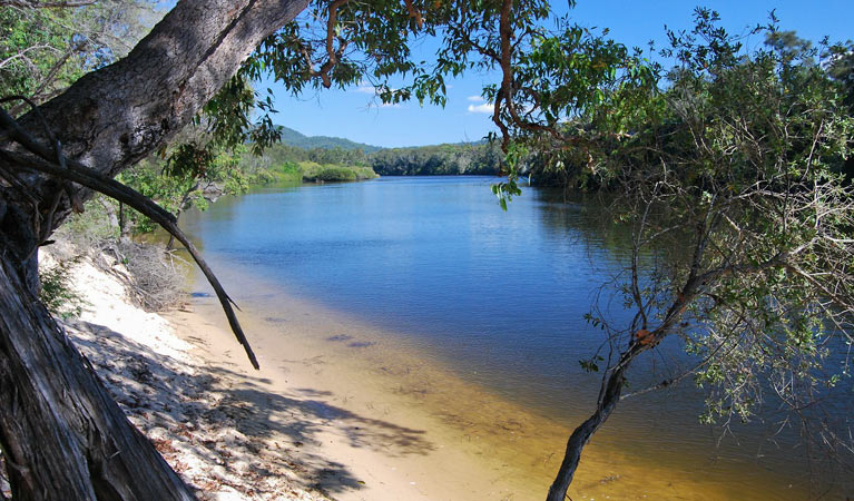 Warrell Creek, Gaagal Wanggaan (South Beach) National Park. Photo: A Ingarfield