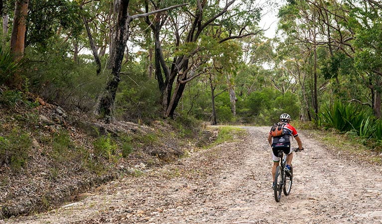 Cawleys Road trail, Garawarra State Conservation Area. Photo: John Spencer &copy; OEH