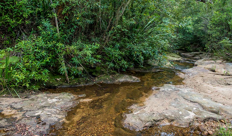 Cawleys Road trail, Garawarra State Conservation Area. Photo: John Spencer &copy; OEH