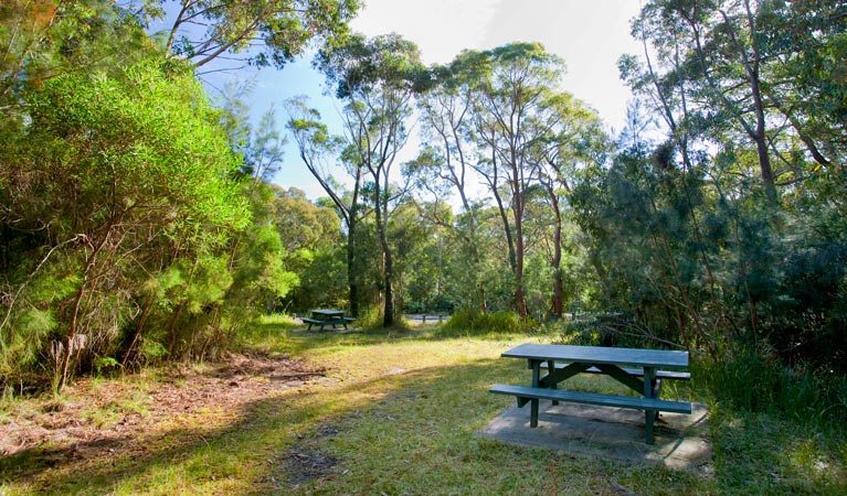 Kellys Falls picnic area, Garawarra State Conservation Area. Photo: Nick Cubbin &copy; OEH