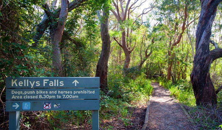 Kellys Falls picnic area, Garawarra State Conservation Area. Photo: Nick Cubbin &copy; OEH