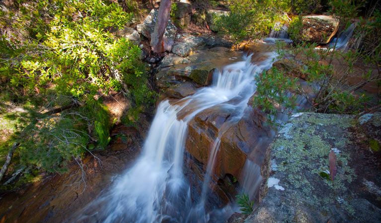 Kellys Falls picnic area, Garawarra State Conservation Area. Photo: Nick Cubbin &copy; OEH