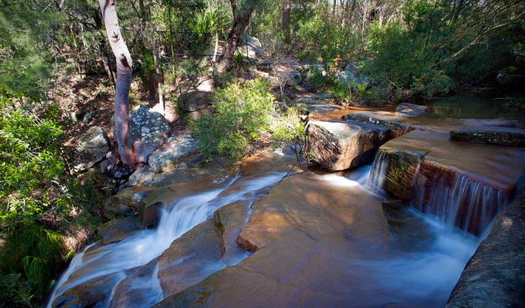 Kellys Falls picnic area, Garawarra State Conservation Area. Photo: Nick Cubbin &copy; OEH