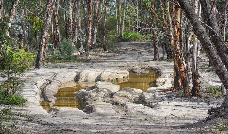 Ben Bullen trail, Gardens of Stone National Park. Photo: David Noble