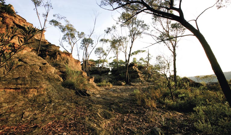 The Newnes Plateau Cliffs, Gardens of Stone National Park. Photo: R Nicolai/NSW Government