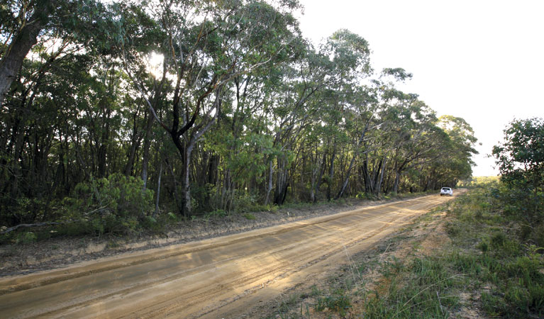 Bicentennial trail, Gardens of Stone National Park. Photo: R Nicolai/NSW Government