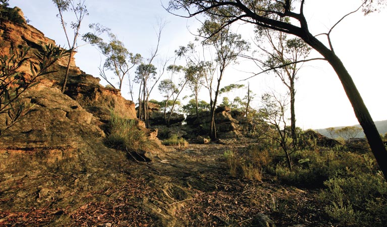 Pagoda, Gardens of Stone National Park. Photo: R Nicolai/NSW Government