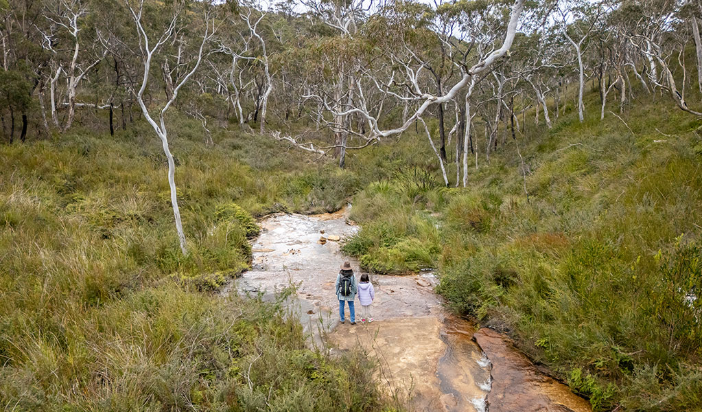 A woman and child enjoying the view of surrounding bush beside a creek on Broad Swamp loop walk in Gardens of Stone State Conservation Area. Credit: John Spencer &copy; DCCEEW