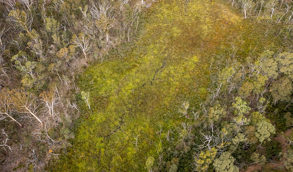 A birds-eye view of Broad Swamp, the largest swamp in Gardens of Stone State Conservation Area. Credit: John Spencer &copy; DCCEEW