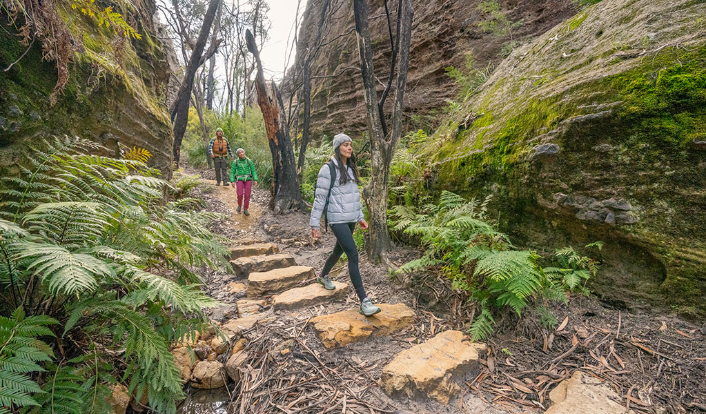 3 people walking on stepping stones along Broad Swamp to Birds Rock walking track in Gardens of Stone State Conservation Area. Credit: John Spencer &copy; DCCEEW