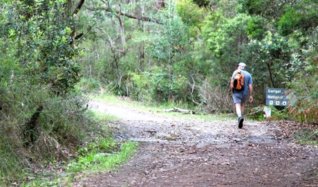 Walker on Cascades trail. Photo: Shaun Sursok