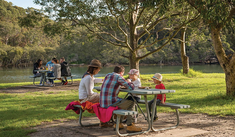 A family and a group of friends at picnic tables in Davidson Park picnic area and boat ramp, Garigal National Park. Photo: John Spencer/DPIE