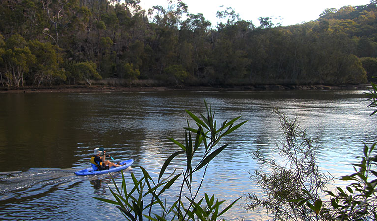 Kayak up Middle Harbour Creek in Garigal National Park. Photo: Natasha Webb