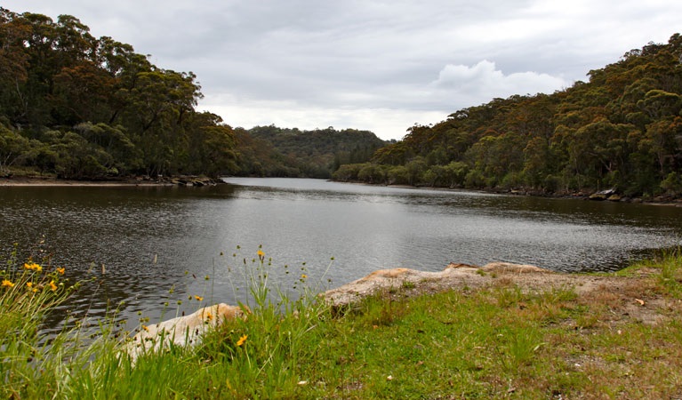 Wildflowers, rocks and water in Garigal National Park. Photo &copy; Shaun Sursok