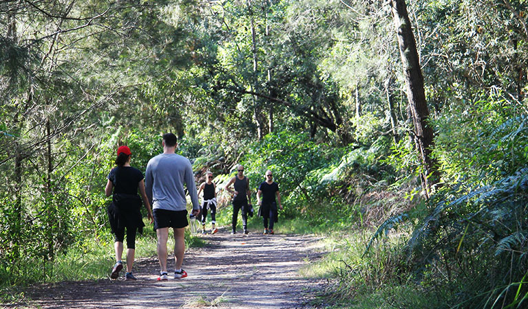 Walkers on Lyrebird trail in Garigal National Park. Photo: Natasha Webb