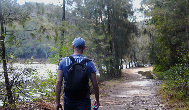 Walk alongside Middle Harbour Creek on Lyrebird trail in Garigal National Park. Photo: Natasha Webb