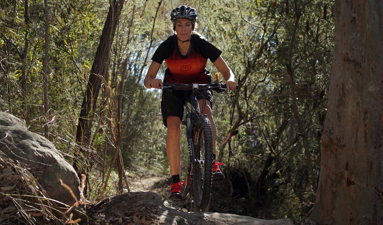 Female rider on Gahnia mountain bike trail, Garigal National Park. Photo: Mick Ross