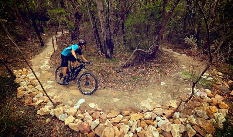 Mountain bike rider on Serrata trail, Garigal National Park. Photo: Flow Mountain Bike