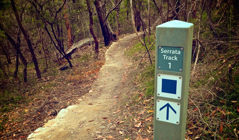 Serrata mountain bike trail starting point, Garigal National Park. Photo: Flow Mountain Bike