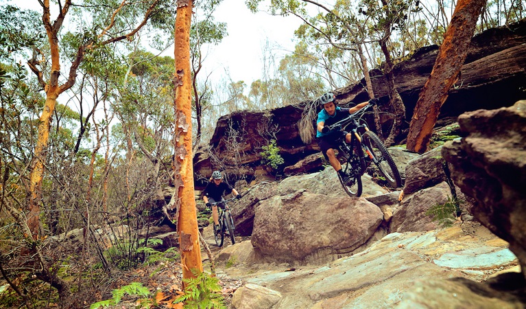 Two riders on Serrata mountain bike trail, Garigal National Park. Photo: Flow Mountain Bike