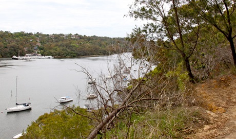 Boats in the water. Photo &copy; Shaun Sursok