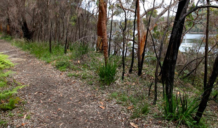 Natural Bridge to Davidson Park walk. Photo &copy; Shaun Sursok