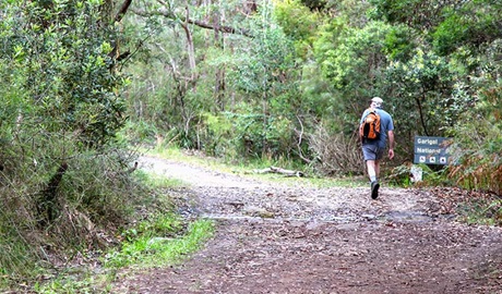 Stepping Stone Crossing to Cascades trail, Garigal National Park. Photo &copy; Shaun Sursok