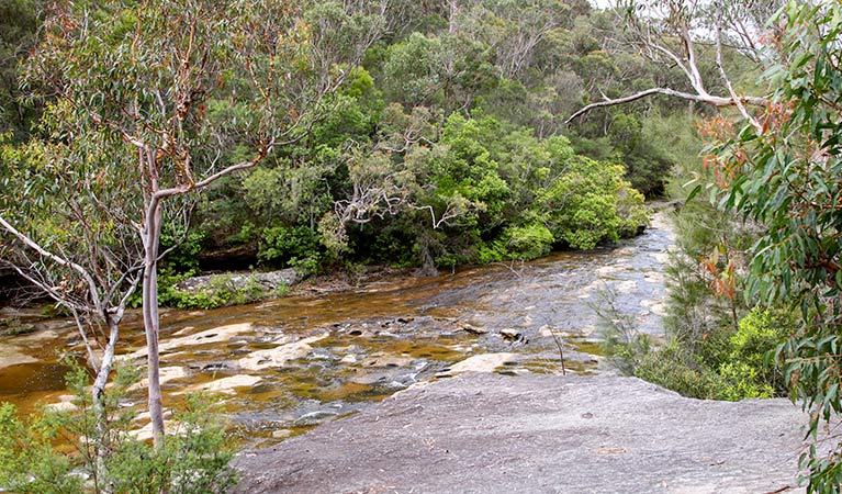 Stepping Stone Crossing to Cascades trail, Garigal National Park. Photo &copy; Shaun Sursok