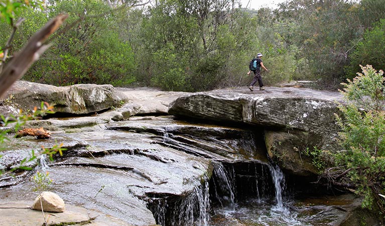 Stepping Stone Crossing to Cascades trail, Garigal National Park. Photo &copy; Shaun Sursok