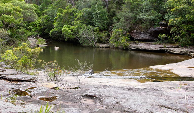 Stepping Stone Crossing to Cascades trail, Garigal National Park. Photo &copy; Shaun Sursok